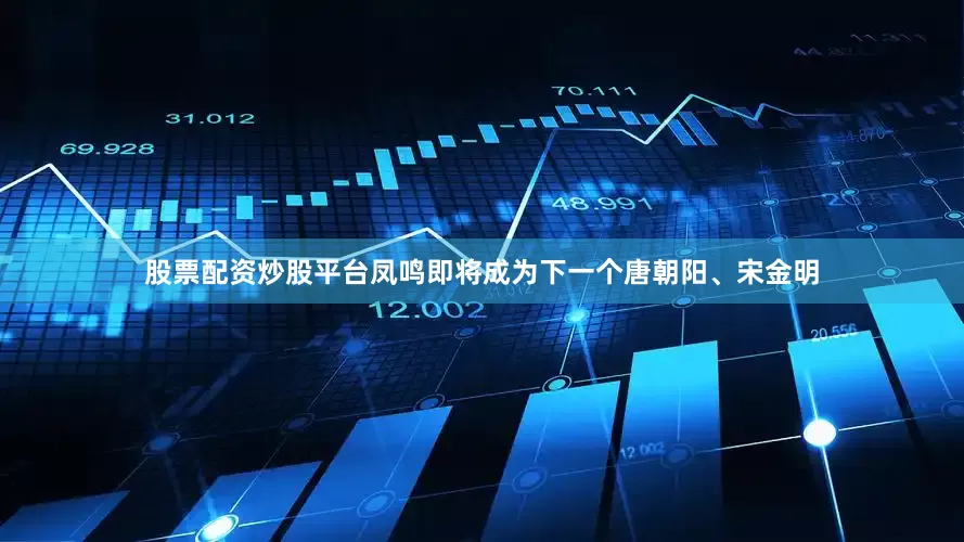 股票配资炒股平台凤鸣即将成为下一个唐朝阳、宋金明