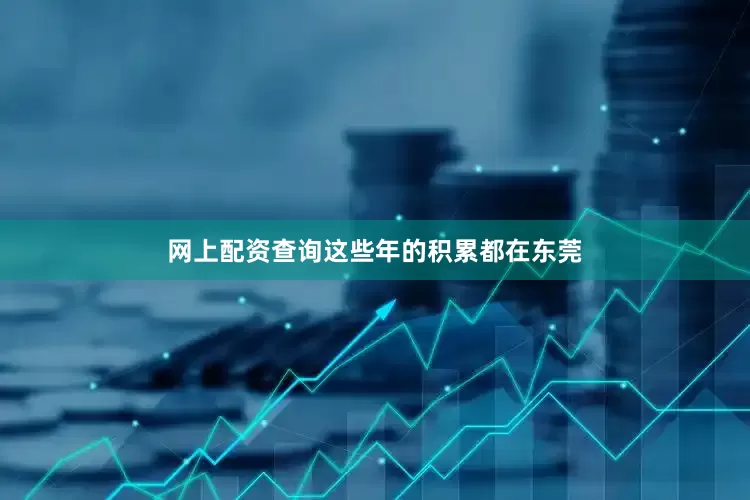 网上配资查询这些年的积累都在东莞