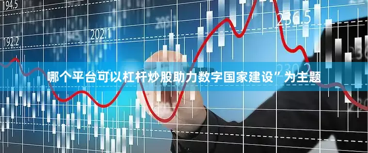 哪个平台可以杠杆炒股助力数字国家建设”为主题